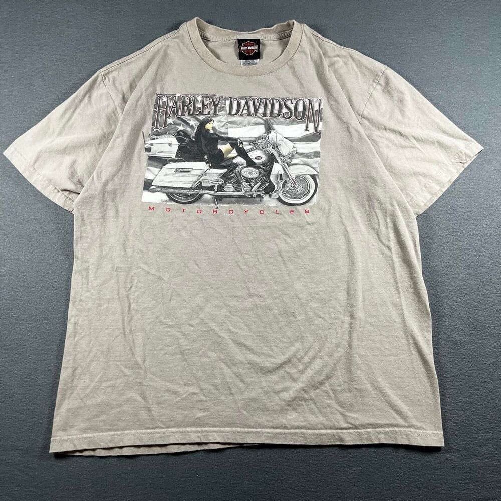 Harley-davidson Men's Grey and Black T-shirt